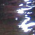 JPEG - 484.5 kio