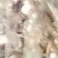 JPEG - 373.6 kio