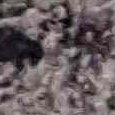 JPEG - 838.3 kio