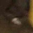 JPEG - 349.1 kio