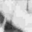 JPEG - 282.7 kio