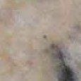 JPEG - 281.1 kio