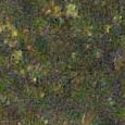 JPEG - 601.2 kio