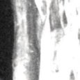 JPEG - 539.3 kio