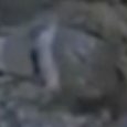 JPEG - 288.5 kio