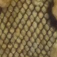 JPEG - 457.6 kio