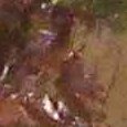 JPEG - 470.8 kio