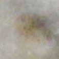 JPEG - 96.7 kio