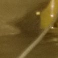 JPEG - 944.3 kio