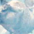 JPEG - 83.8 kio