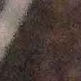 JPEG - 770.3 kio