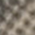 JPEG - 721.1 kio