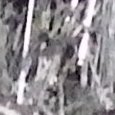 JPEG - 232.1 kio