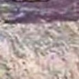 JPEG - 43.7 kio