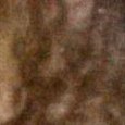 JPEG - 2.4 Mio