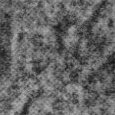 JPEG - 2.3 Mio