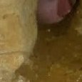 JPEG - 329.3 kio