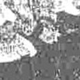 JPEG - 269.3 kio