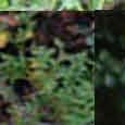 JPEG - 935.3 kio