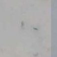 JPEG - 178.6 kio