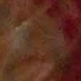JPEG - 549.2 kio