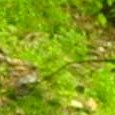 JPEG - 348.1 kio