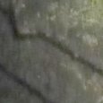 JPEG - 488.9 kio