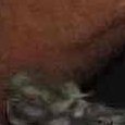 JPEG - 455.6 kio