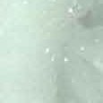 JPEG - 116.5 kio