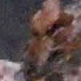 JPEG - 412.8 kio