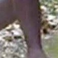 JPEG - 110.4 kio