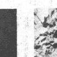 JPEG - 455.1 kio