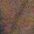 JPEG - 642.2 kio
