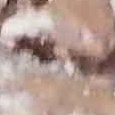 JPEG - 513.8 kio
