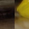 JPEG - 75.5 kio