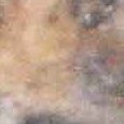 JPEG - 103.2 kio