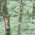 JPEG - 303.8 kio