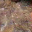JPEG - 391.2 kio
