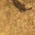 JPEG - 441.7 kio