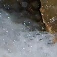 JPEG - 123.2 kio