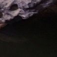 JPEG - 323.8 kio