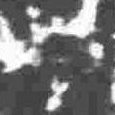 JPEG - 226.1 kio