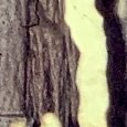 JPEG - 789.3 kio