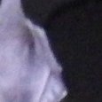 JPEG - 238.9 kio