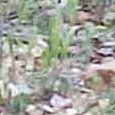 JPEG - 597.1 kio