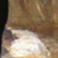 JPEG - 201.6 kio