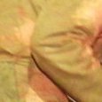JPEG - 141.4 kio