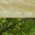 JPEG - 648.2 kio