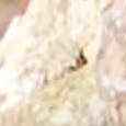 JPEG - 735.8 kio