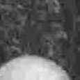 JPEG - 411.4 kio